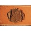 Carhartt Kahverengi Ceket