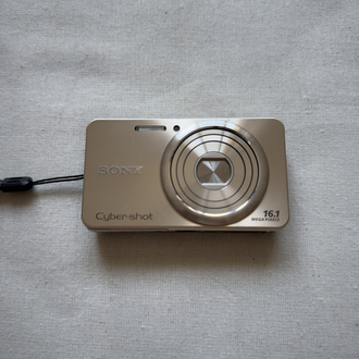 Sony Cyber shot DSC-W570 Fotocamera digitale compatta grigia Solo in