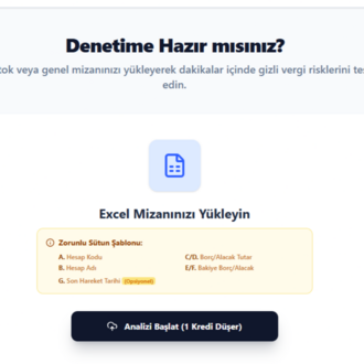 Mizan Denetim Raporu