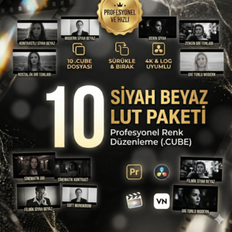 ProFilm B&W LUT Paketi: 10 Sinematik Siyah-Beyaz Renk Efekti