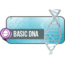 Theta Healing 1.Modül - Basic DNA