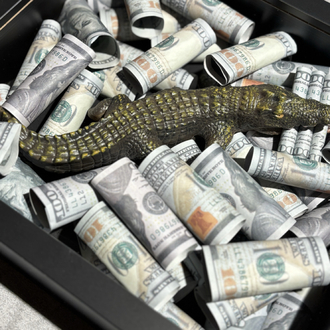 Golden Croc Derinlikli 3D Tasarım Çerçeve – Özel Konsept Dekor