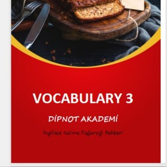VOCABULARY 3