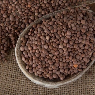 Köy Mercimeği - 1000 g