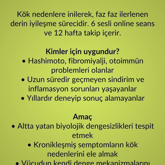3 AYLIK FONKSİYONEL DÖNÜŞÜM PROGRAMI