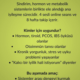2 AYLIK FONKSİYONEL ONARIM PROGRAMI