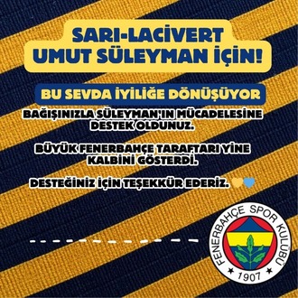 Fenerbahçe Destek Kartı