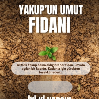 Fidan