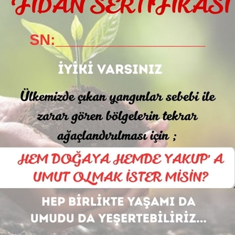 fidan sertifikası
