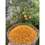 Arı Poleni 125  GR
