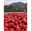 Kızılcık Marmelatı 325 GR (EV YAPIMI)