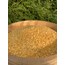  Mısır Yarması 1 KG “Ata Tohumu”