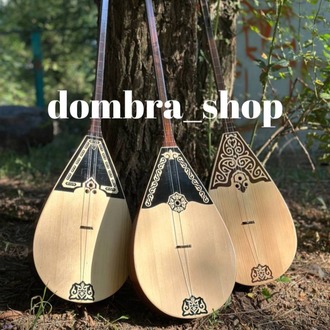 Profesyonel dombra