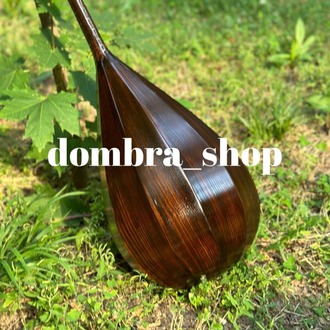 Profesyonel dombra