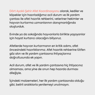 Kedi - Köpek | Afet ve İlk Yardım Çantası