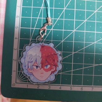 Todoroki Charm