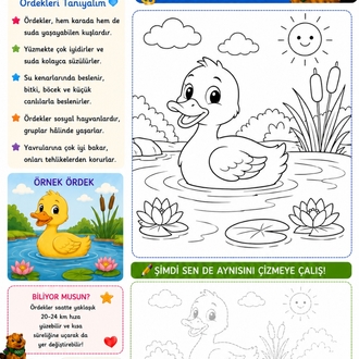 Dosti Boyama Kitabı | 20 Etkinlik Sayfası | Dijital PDF