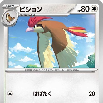 Pidgeotto