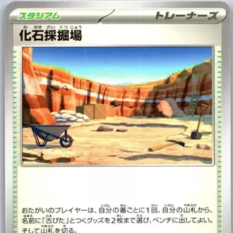 Fossil Excavation Site