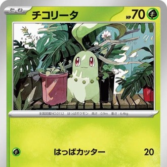 Chikorita