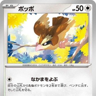 Pidgey