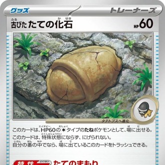 Antique Armor Fossil