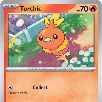 Torchic