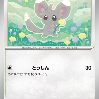 Minccino