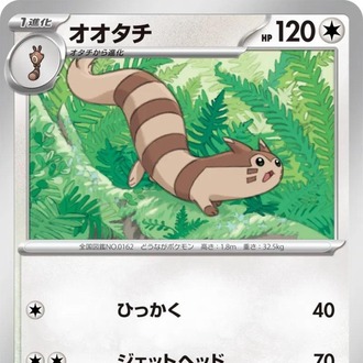Furret