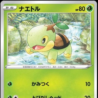 Turtwig