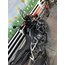 Suzuki V-Strom 800 8li koruma demiri