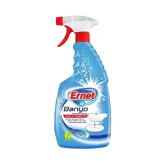 Camsil Ernet Banyo Temizleyicisi Sprey