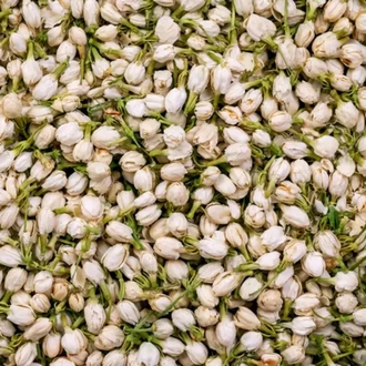 Tomurcuk Yasemin 100 gr 
