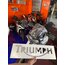 Triumph duvar logosu