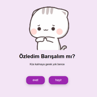 Özür dilerim sitesi kişiye özel tasarlanmış (3 gün yayında)