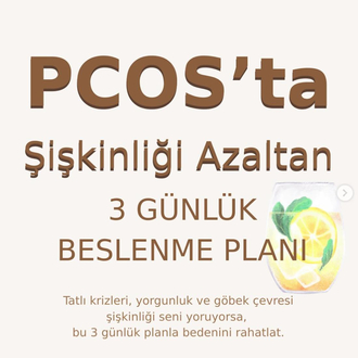 PKOS 3 Günde Şişkinlik Ve Ödem Atıcı Detoks