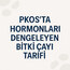 PKOS’ta Hormonları Dengeleyen Bitki Çayı Tarifi