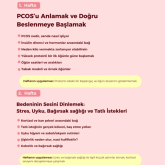 PCOS / PMOS YOL HARİTAM