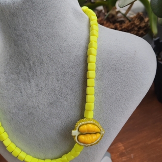 Fimo & Durian