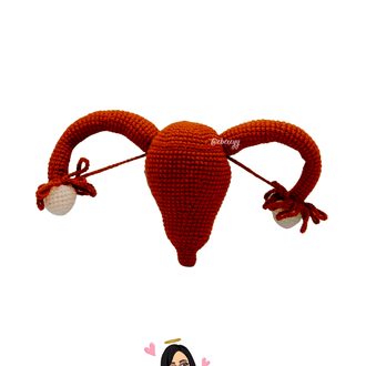 Anatomik Uterus 