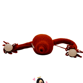 Anatomik Uterus 