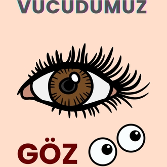 Eğitici Kartlar – Keşfet, Öğren, Eğlen!