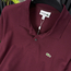 Lacoste Basic Pike Kumaş Polo Yaka (bordo)
