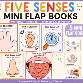 Five Senses Activities for Kids | 5 Senses Preschool Science Craft | Interactive Lift the Flap Mini 