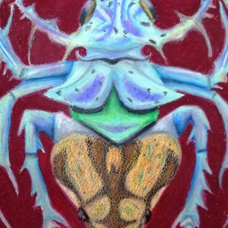 ''The Smoking Beetle?