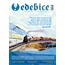 Edebice 17. sayı