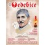 Edebice 13. sayı