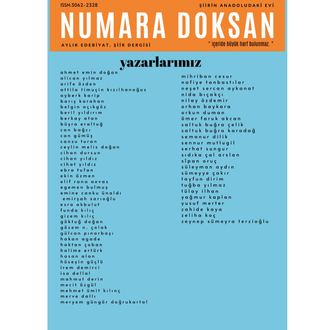 numara doksan 40