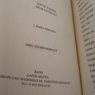 Nilgün Babacan - Ağlayan Kadın