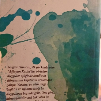 Nilgün Babacan - Ağlayan Kadın